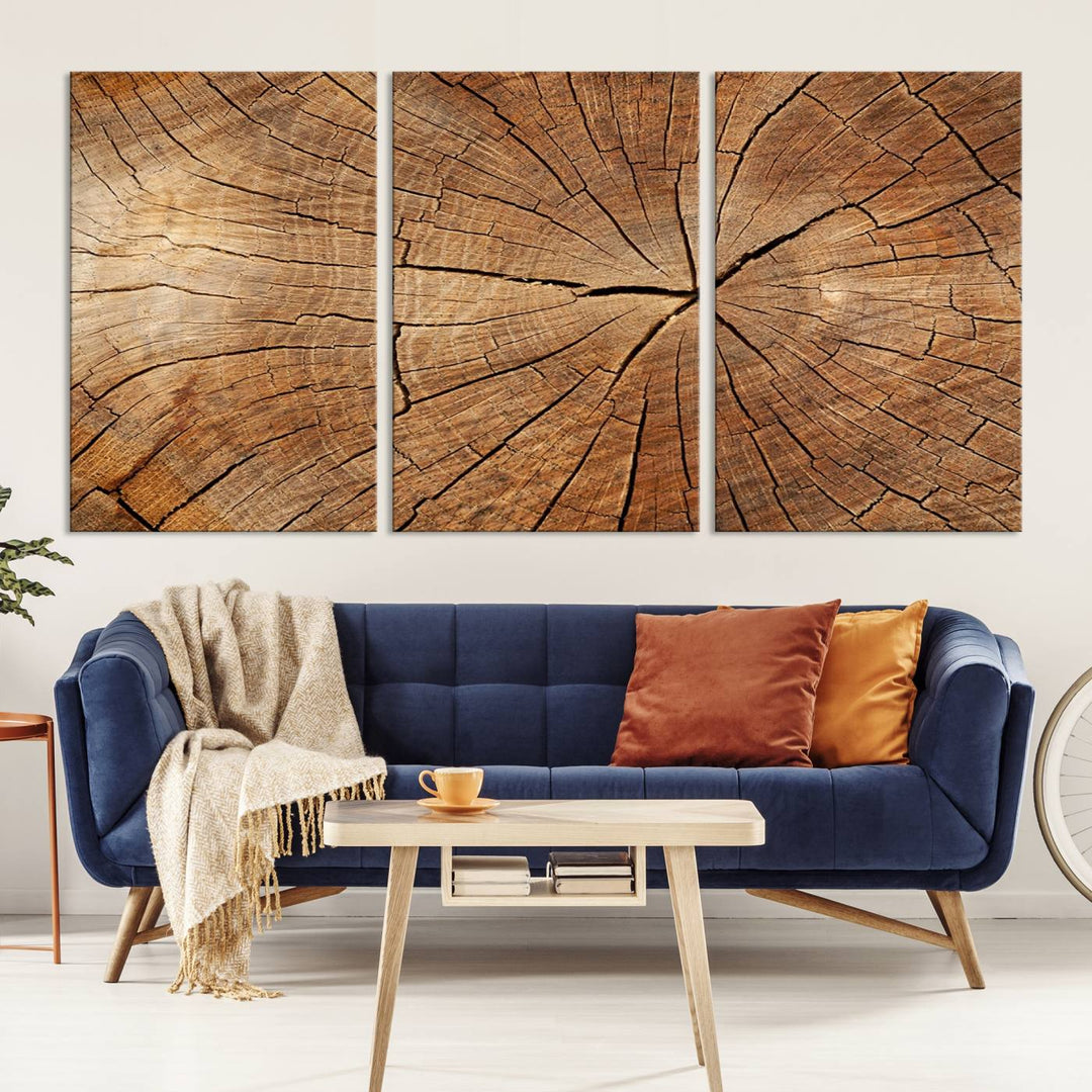 The stunning multi-panel wall art piece, the Tree Ring Canvas Art, features intricate rustic wood grain textures. This giclee triptych hangs elegantly on the wall.