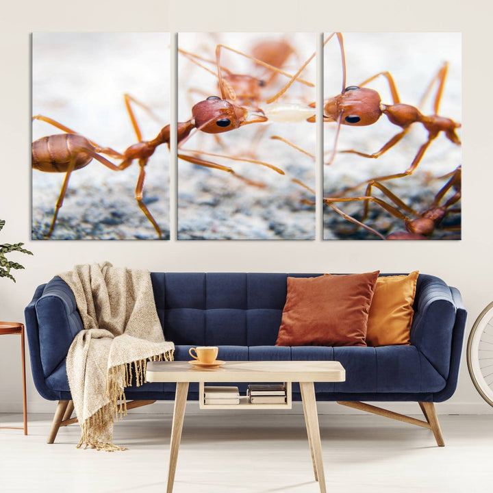 The "Ants Wall Art Canvas Print" features two ants facing each other, beautifully presented across three panels on museum-quality canvas with a UV-protective coating.