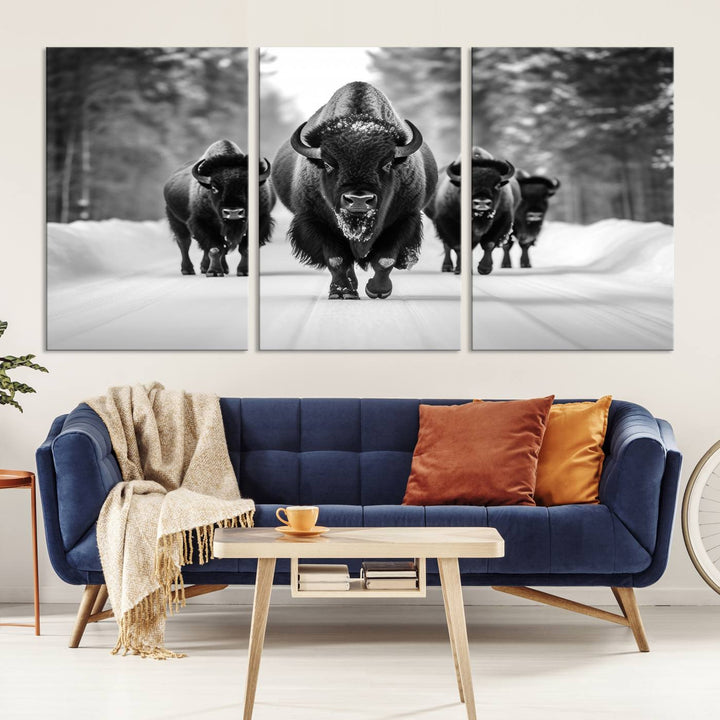 Buffalo Wall Art Canvas Print, Bison Wall Art Canvas Print