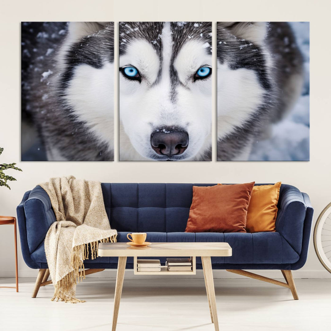 A large framed Winter Siberian Husky Wolf Wall Art Canvas Print, an exquisite piece of animal portrait decor, hangs prominently on the wall.