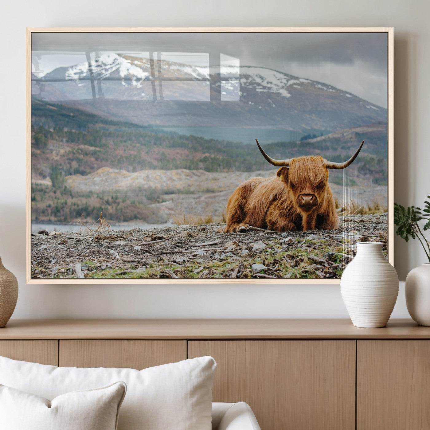 80252-MGV-FP-36X24-3P_Natural-Highland Cow Horn Farm Wall Art Canvas Print