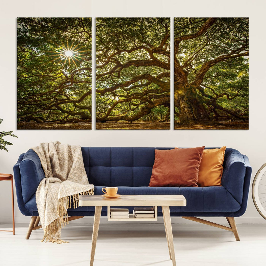 Ancient Angel Oak Tree Sunburst Wall Art - Nature-Inspired Triptych Canvas Print, Framed, Ready to Hang