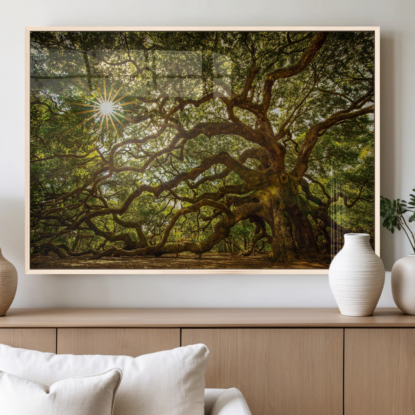 MGV-FP-36X24-3P - Ancient Angel Oak Tree Art Sunburst Canvas Print- Nature-Inspired Triptych Canvas Print, Framed,