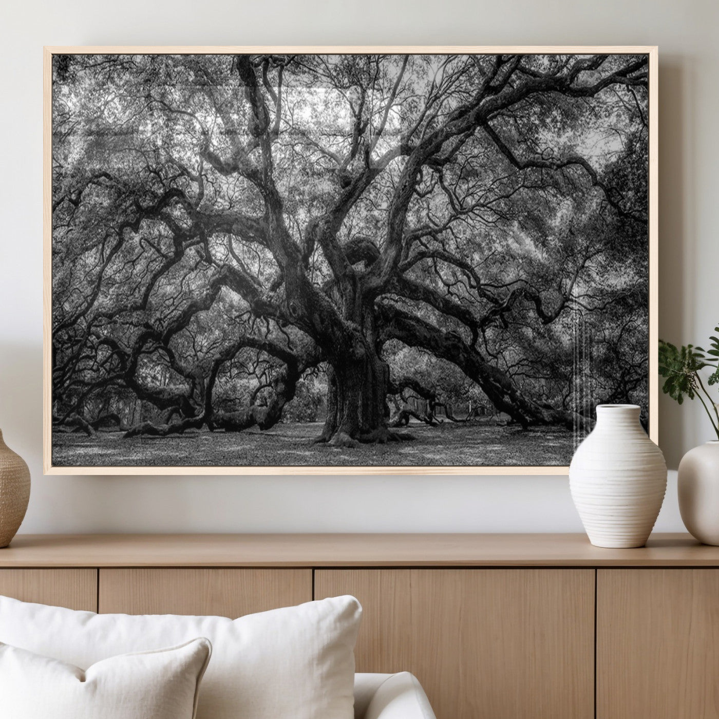 MGV-FP-60X30-3P - Black and White Old Angel Oak Tree Wall Art Canvas Print