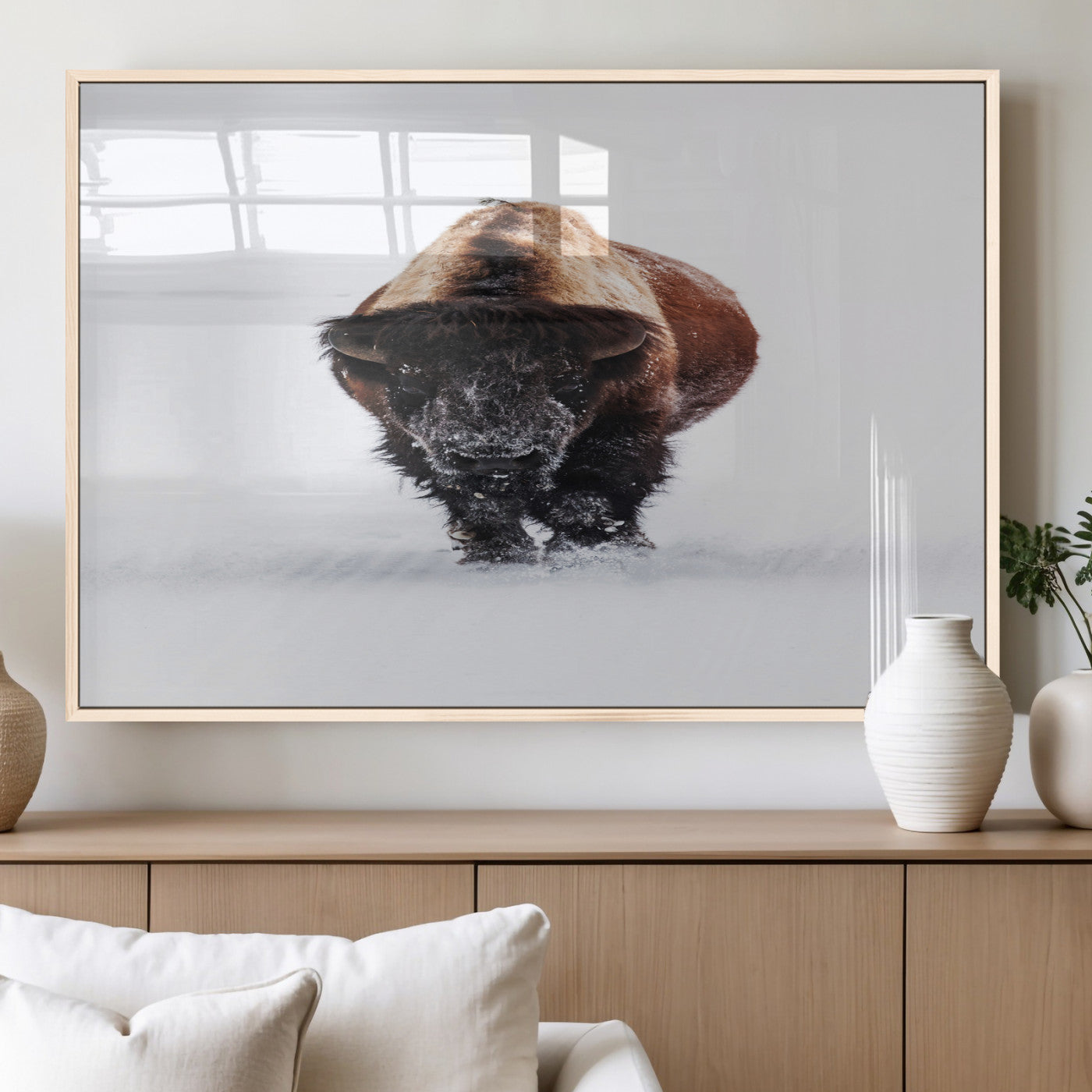 Front view of a strong bison walking in deep snow, isolated white background, perfect for rustic or lodge-style home decor.