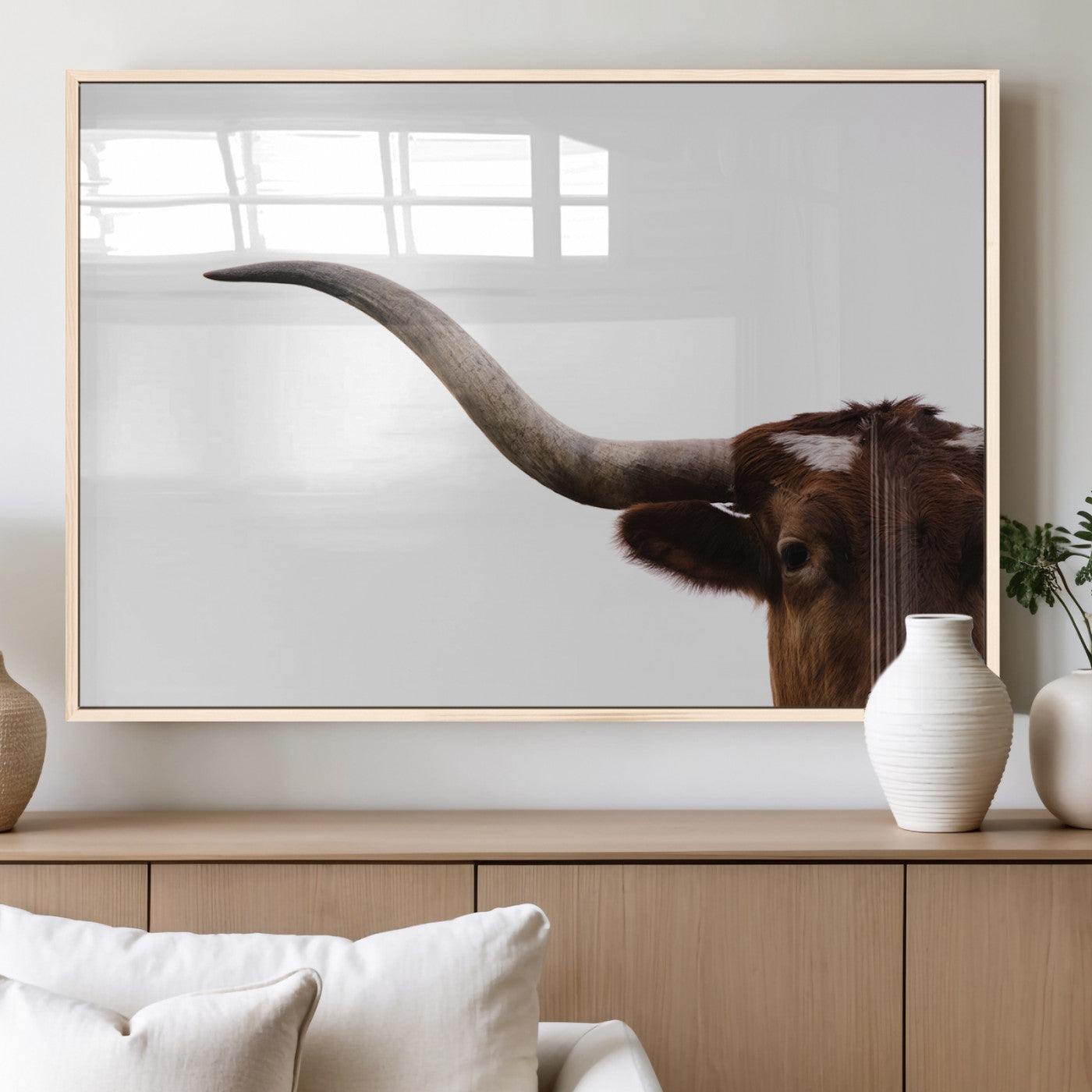 Close-up of Texas Longhorn horn and eye on white background, perfect for minimalist or modern farmhouse style wall decor.