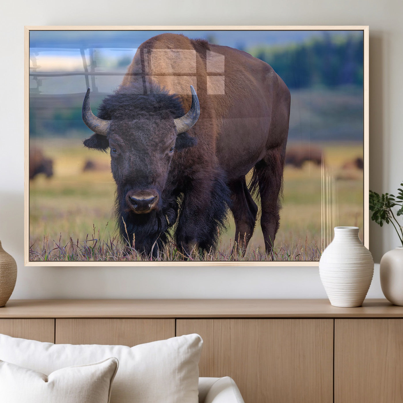 Close-up of a strong American bison standing in a grassy prairie with a blurred herd in background, perfect for rustic lodge decor.