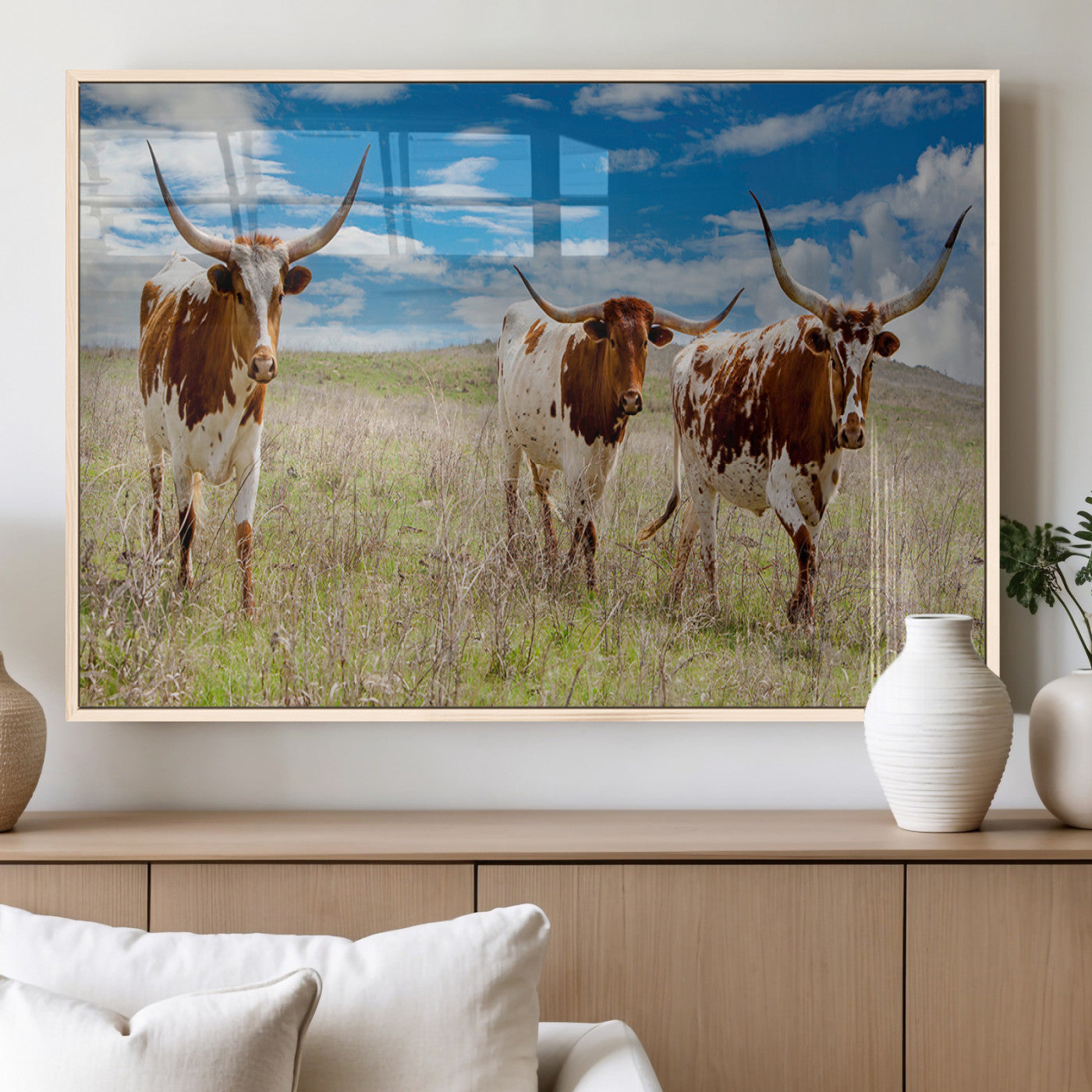 Three Texas longhorn cattle standing in dry grass under a bright blue sky, ideal for farmhouse or western rustic home decor.