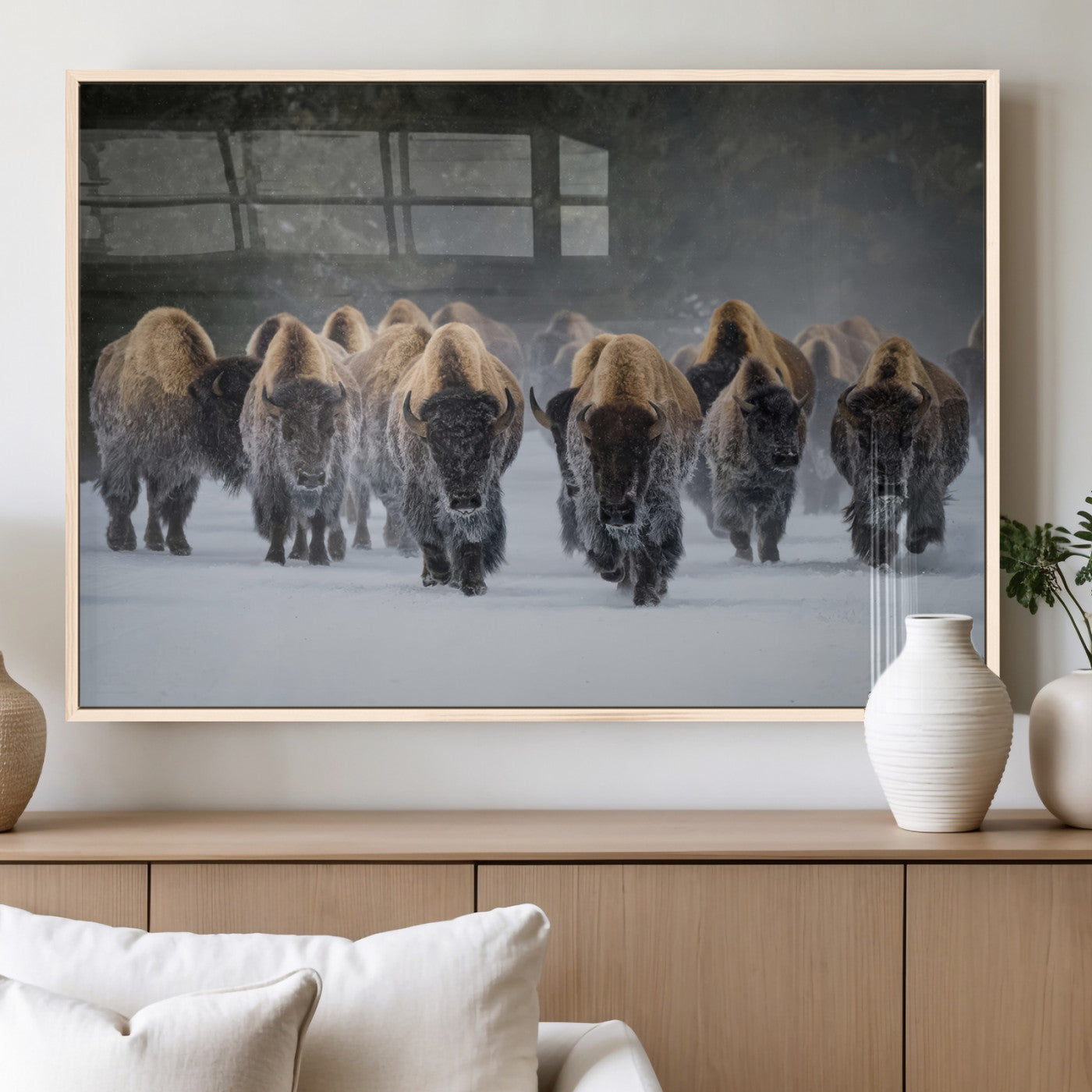 A herd of American bisons walking through deep snow in a forest, evoking a powerful rustic wilderness mood for western-style interiors.