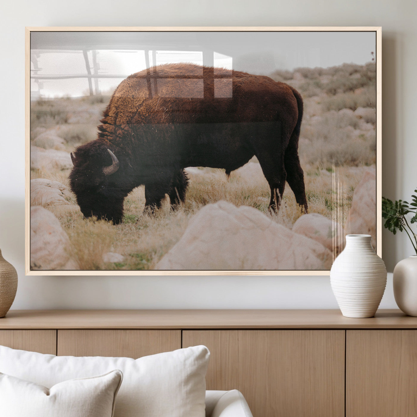 A solitary bison grazing in a rugged prairie with earthy tones and scattered rocks, capturing the essence of the American West for rustic decor.