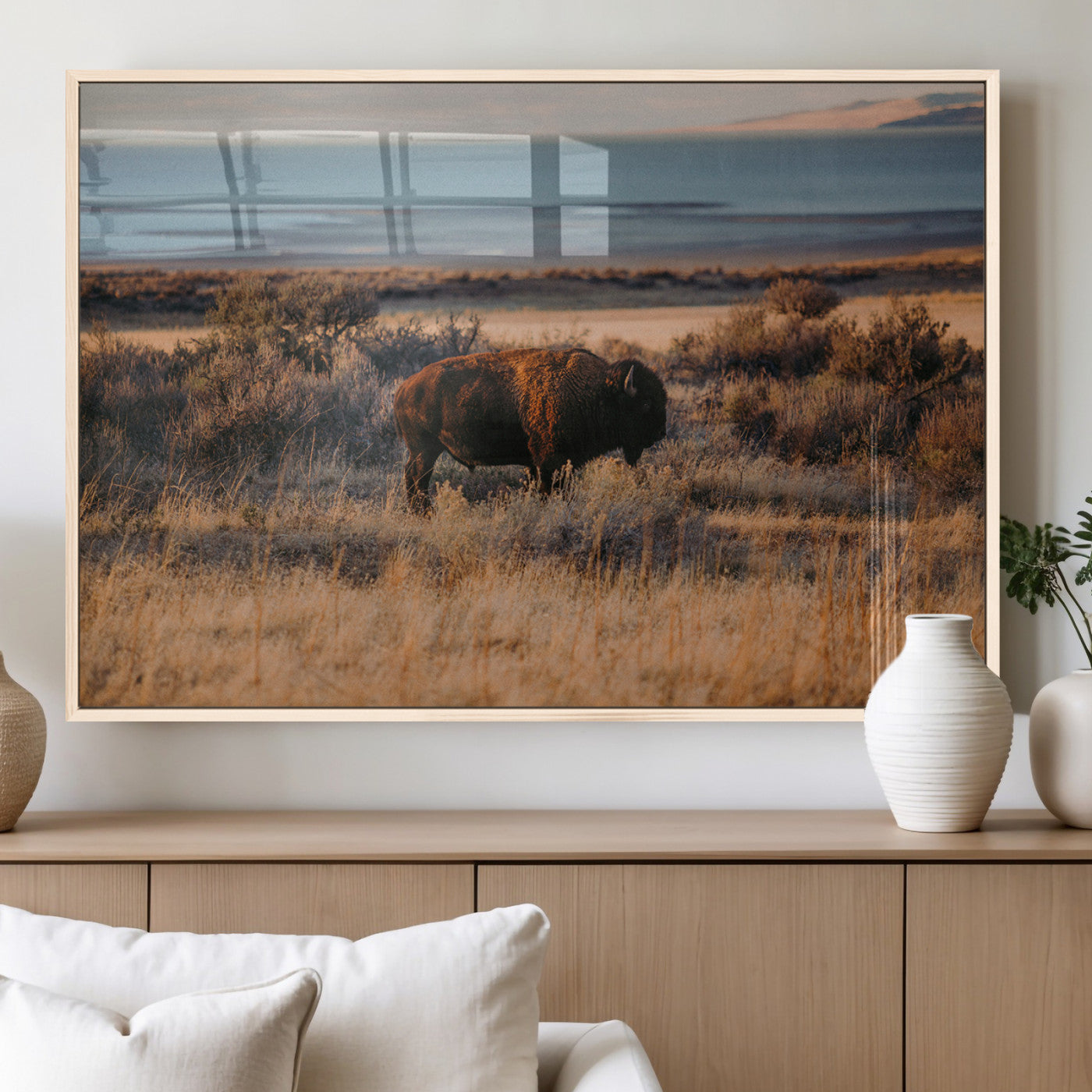 A lone bison grazing in golden prairie grass at sunset, with warm earthy tones and a distant lake view, perfect for rustic and western decor.