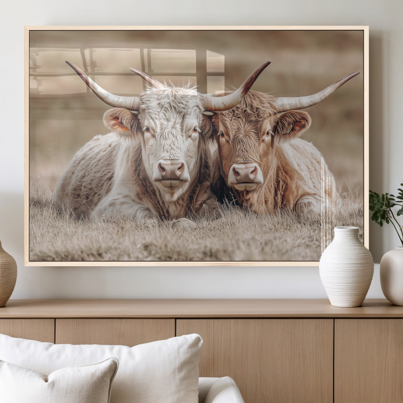 Two Highland cows with long horns lying side by side on a grassy field, featuring soft natural tones and a calm rural setting.