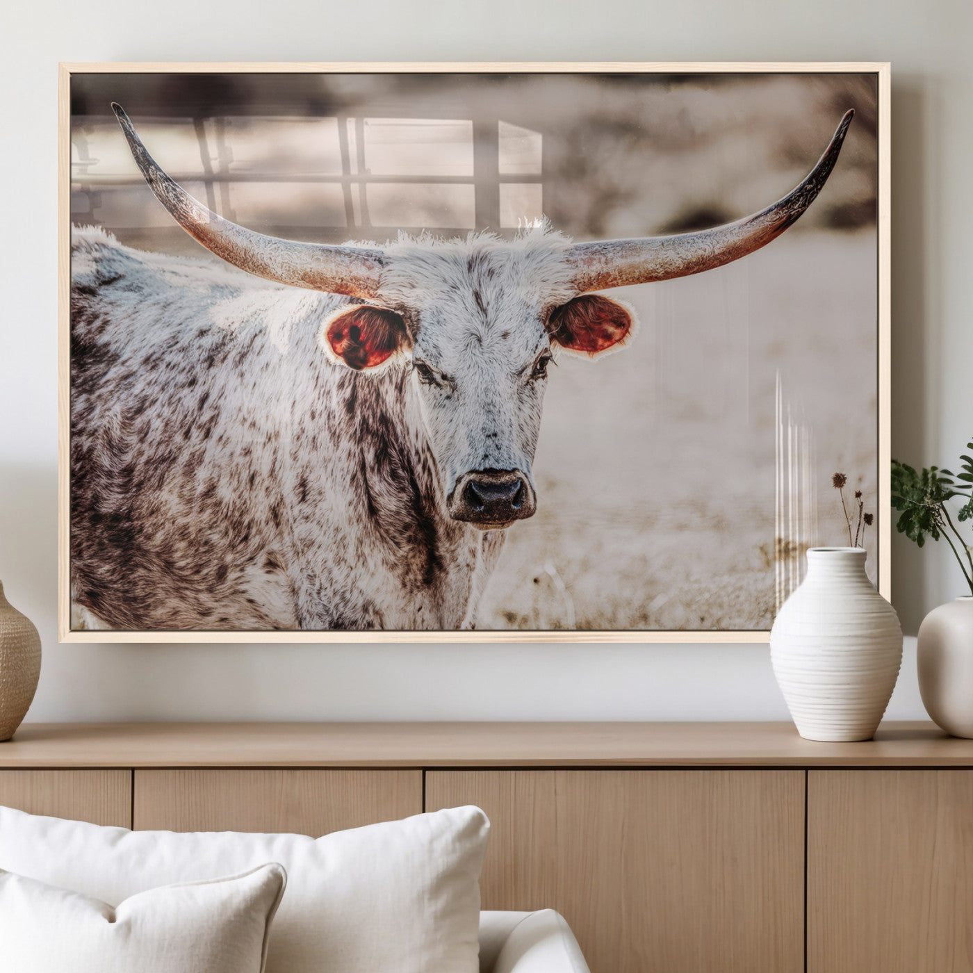 Close-up photograph of a white and brown speckled longhorn cow with very large, curved horns standing in a sunlit field with dry grass and blurred background.