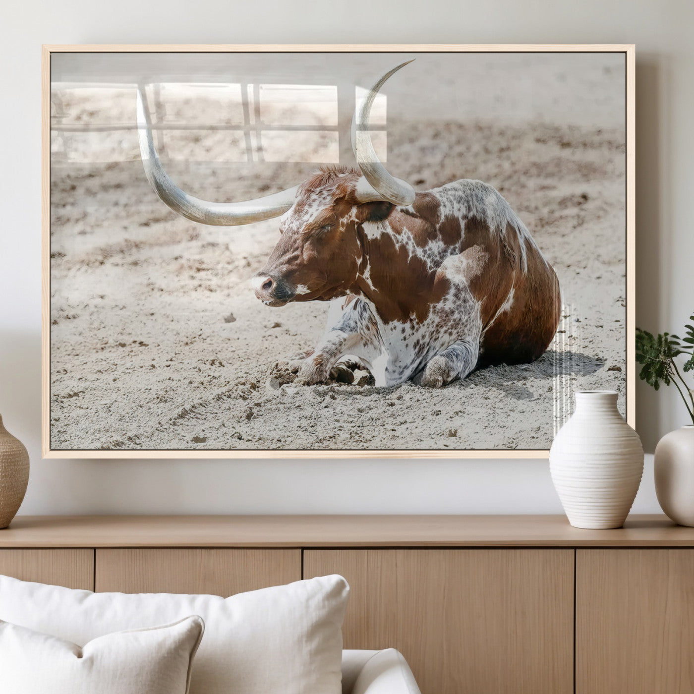 MGV-FP-60X30-3P - Majestic Longhorn Resting on Sunlit Desert Ground – Striking Western-Themed Wall Art Canvas Print