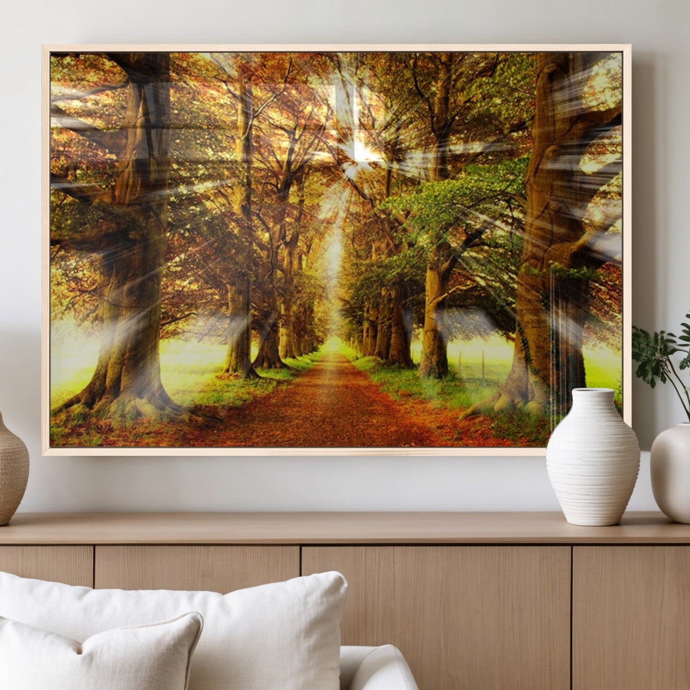 50243-MGV-FP-60X30-3P_Natural-Sunshine in Forest and Trees Wall Art Canvas Print