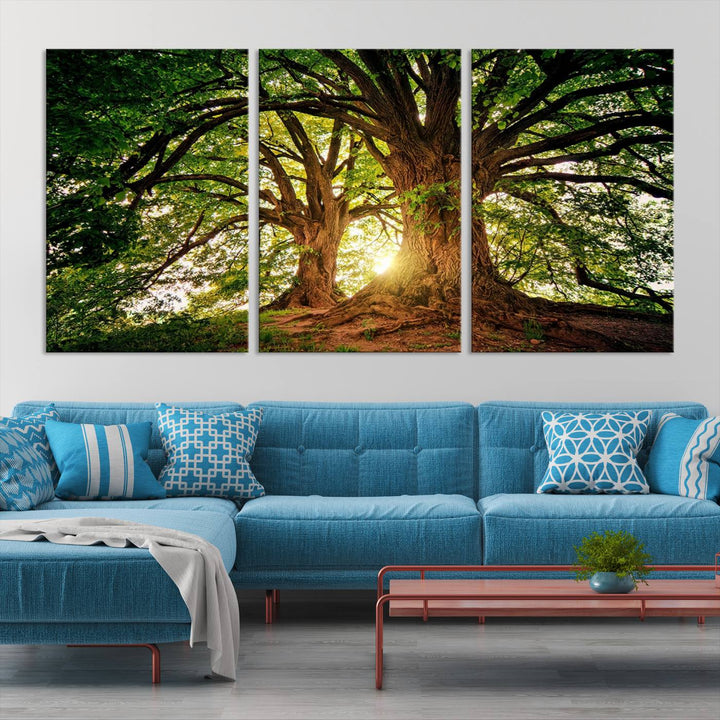 Majestic Ancient Tree Wall Art, Nature-Inspired Canvas Print, Woodland Art, Tree of Life Artwork, Sunlit Forest, Giclee Nature Print