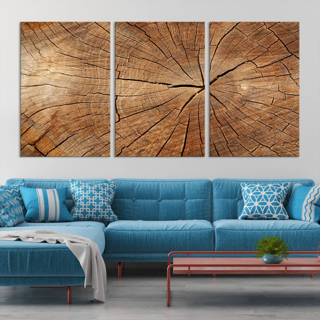 The stunning multi-panel wall art piece, the Tree Ring Canvas Art, features intricate rustic wood grain textures. This giclee triptych hangs elegantly on the wall.