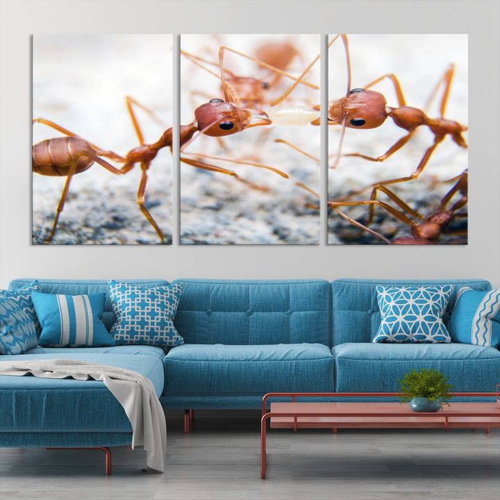 The "Ants Wall Art Canvas Print" features two ants facing each other, beautifully presented across three panels on museum-quality canvas with a UV-protective coating.