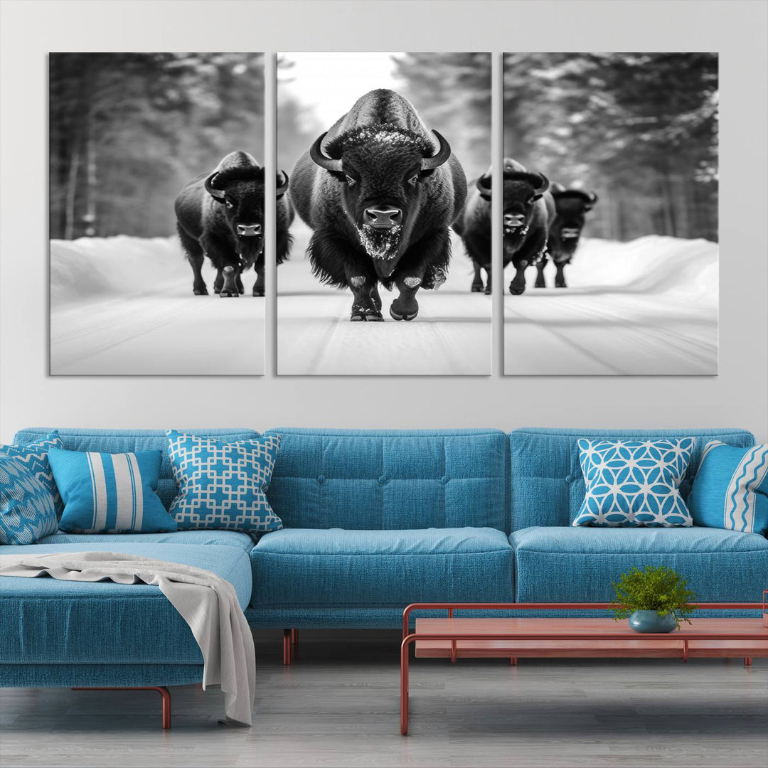 Buffalo Wall Art Canvas Print, Bison Wall Art Canvas Print