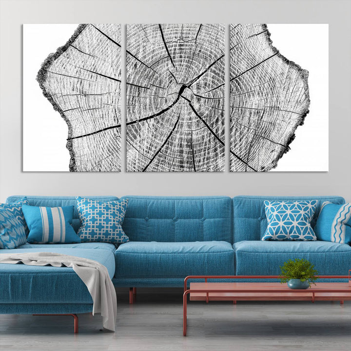 Rustic Tree Ring Wall Art Canvas Print – Framed and Ready to Hang – Perfect for Nature-Inspired and Minimalist Décor 