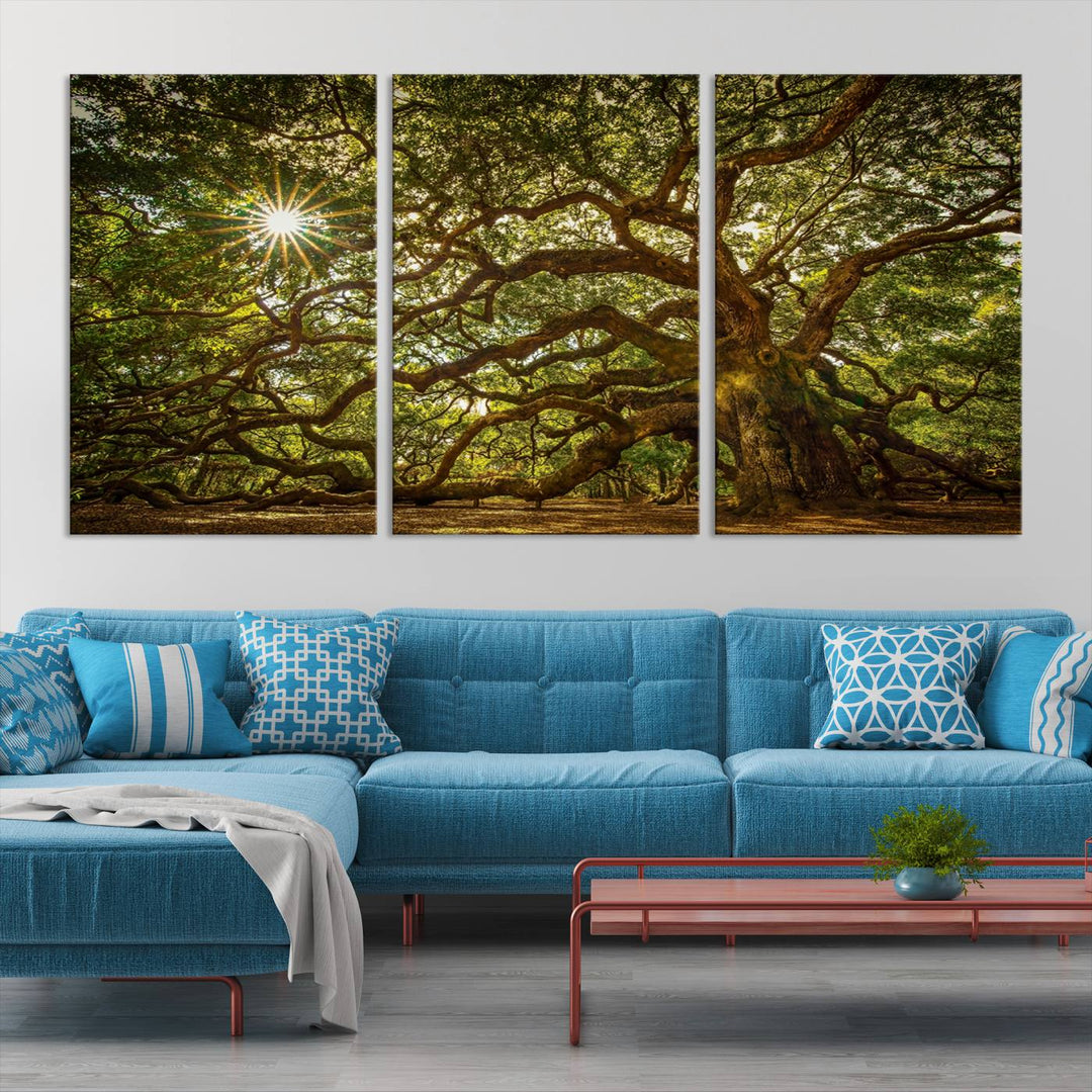 Ancient Angel Oak Tree Sunburst Wall Art - Nature-Inspired Triptych Canvas Print, Framed, Ready to Hang