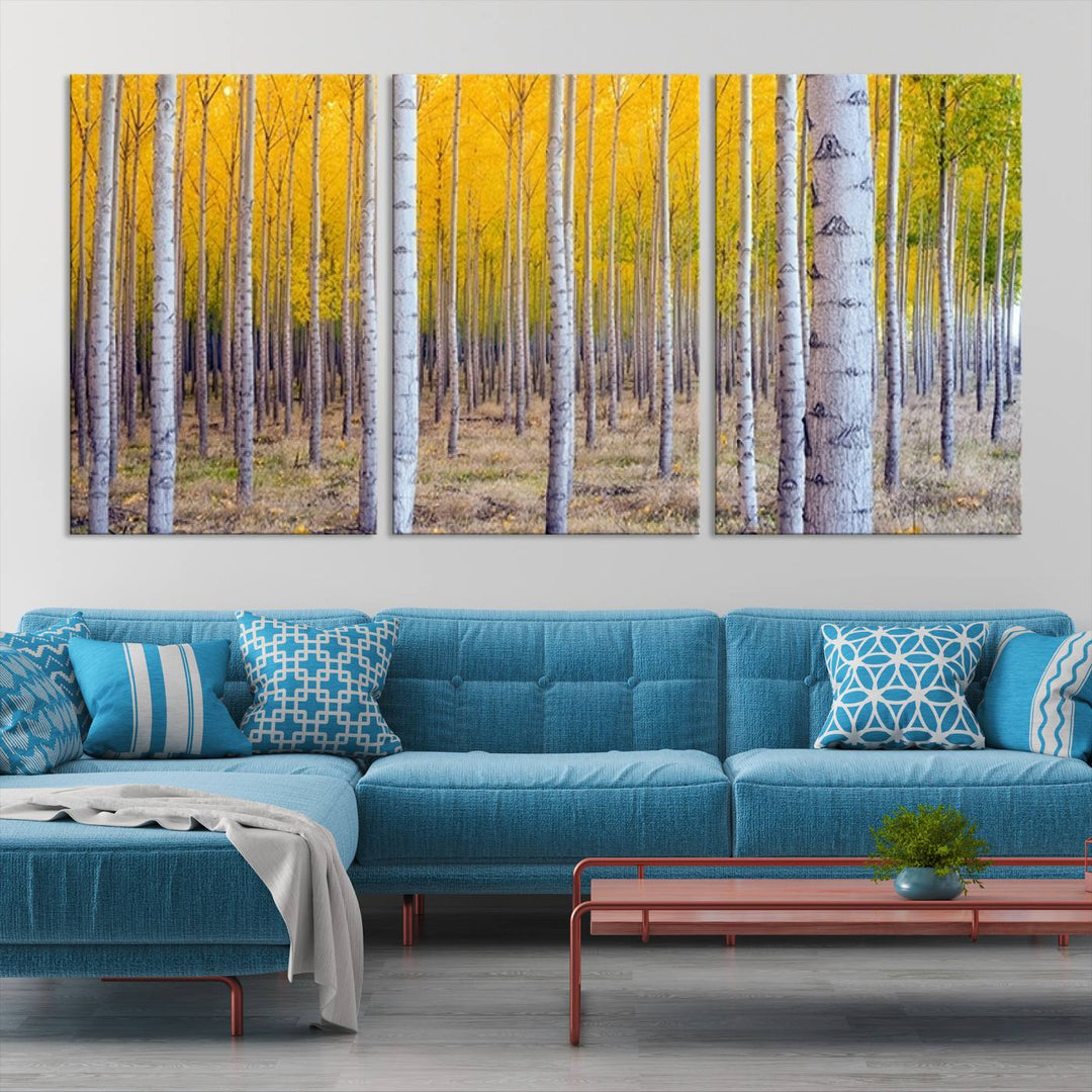 Birch Trees Forest in Autumn Wall Art Print