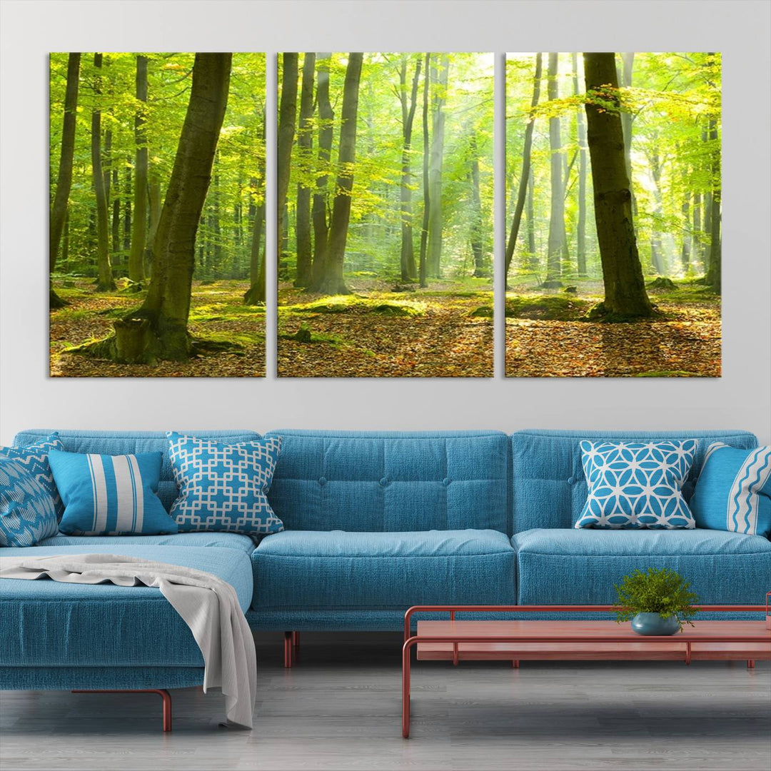 Wall Art Landscape Canvas Print Sunshine in Green Forest