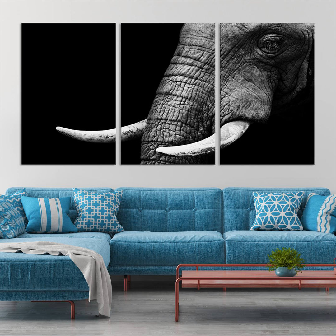 Wall Art Animal Canvas Print Close Taken Elephant with Big Ivories