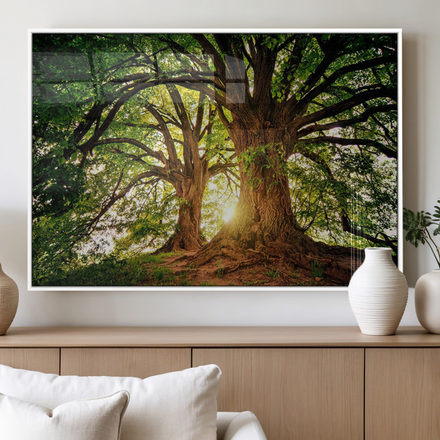 MGV-FP-36X24-3P - Majestic Ancient Tree Wall Art, NatureCanvas Print, Woodland Art, Tree of Life Artwork, Sunlit
