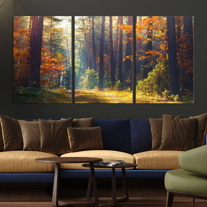 Forêt Sunshine Wall Art Impression sur toile