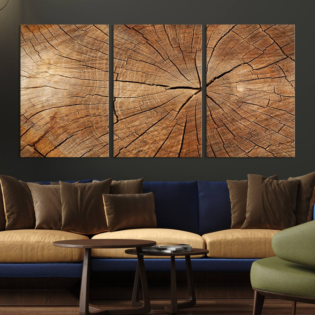 The stunning multi-panel wall art piece, the Tree Ring Canvas Art, features intricate rustic wood grain textures. This giclee triptych hangs elegantly on the wall.