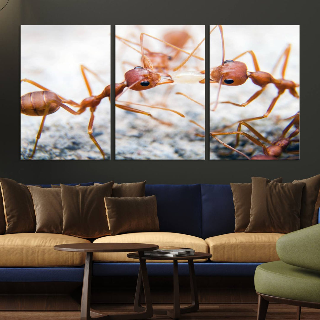 The "Ants Wall Art Canvas Print" features two ants facing each other, beautifully presented across three panels on museum-quality canvas with a UV-protective coating.