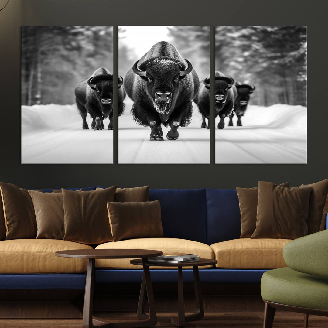 Buffalo Wall Art Canvas Print, Bison Wall Art Canvas Print