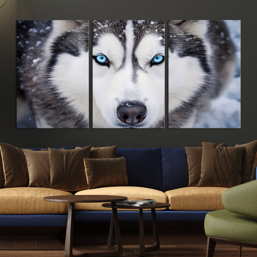 A large framed Winter Siberian Husky Wolf Wall Art Canvas Print, an exquisite piece of animal portrait decor, hangs prominently on the wall.