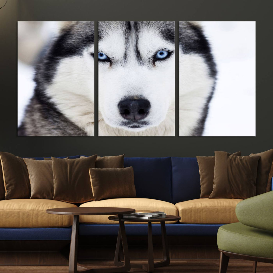 A captivating Winter Siberian Husky Wolf Blue Eyes Wall Art Canvas Print is displayed above.