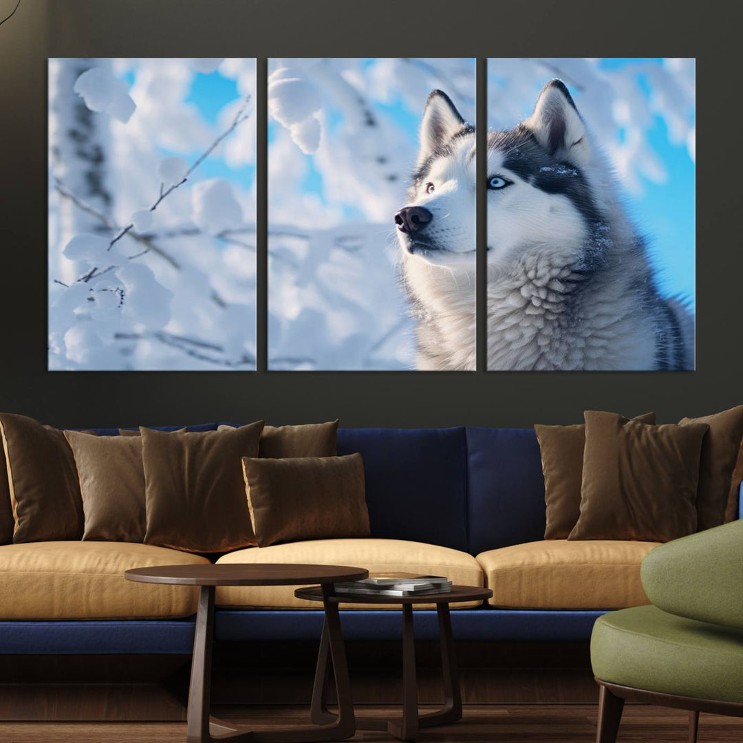 The Siberian Husky Art Canvas elegantly enhances the room.