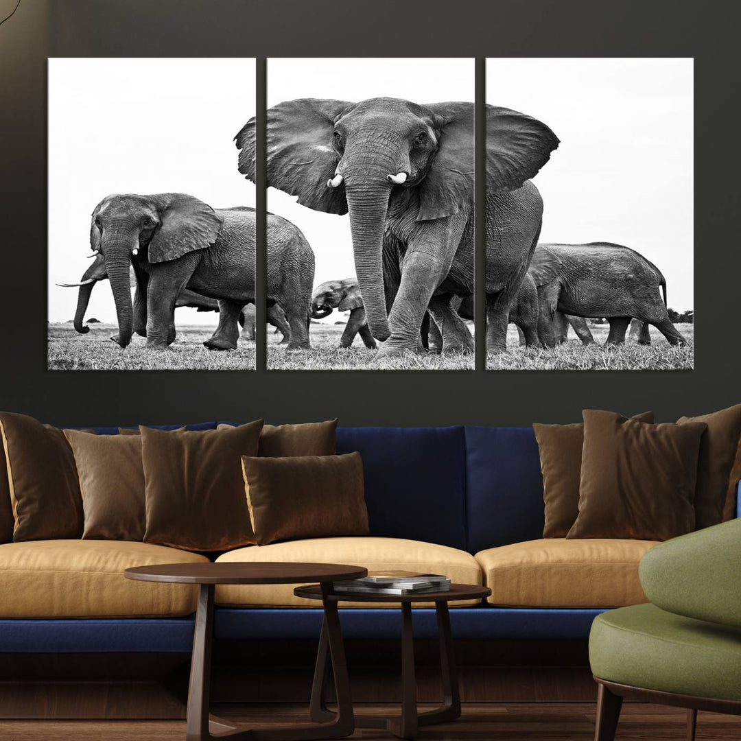 The Black White Elephant Family Wall Art Canvas Print features a triptych of elephants walking in the wild, crafted as gallery-quality wall art on premium canvas.