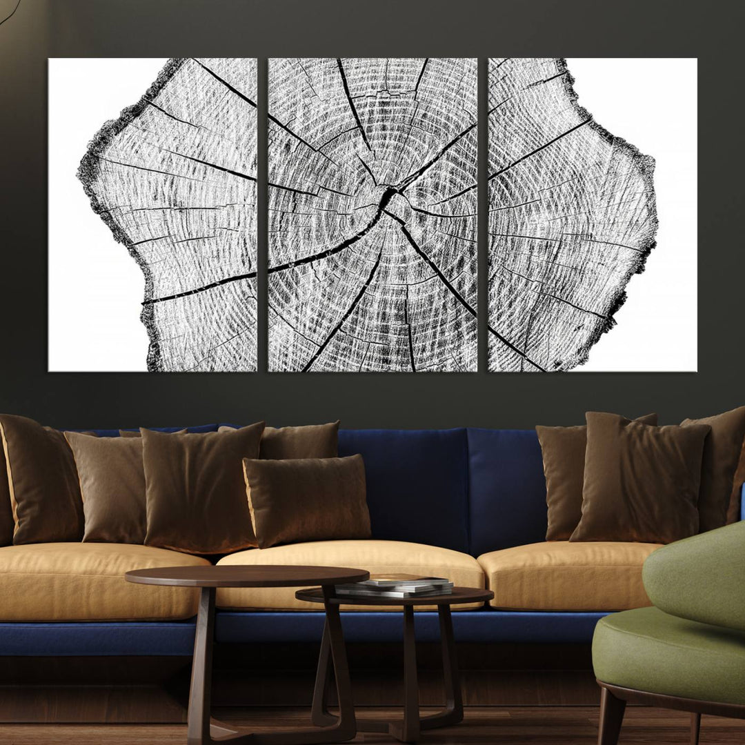 Rustic Tree Ring Wall Art Canvas Print – Framed and Ready to Hang – Perfect for Nature-Inspired and Minimalist Décor 