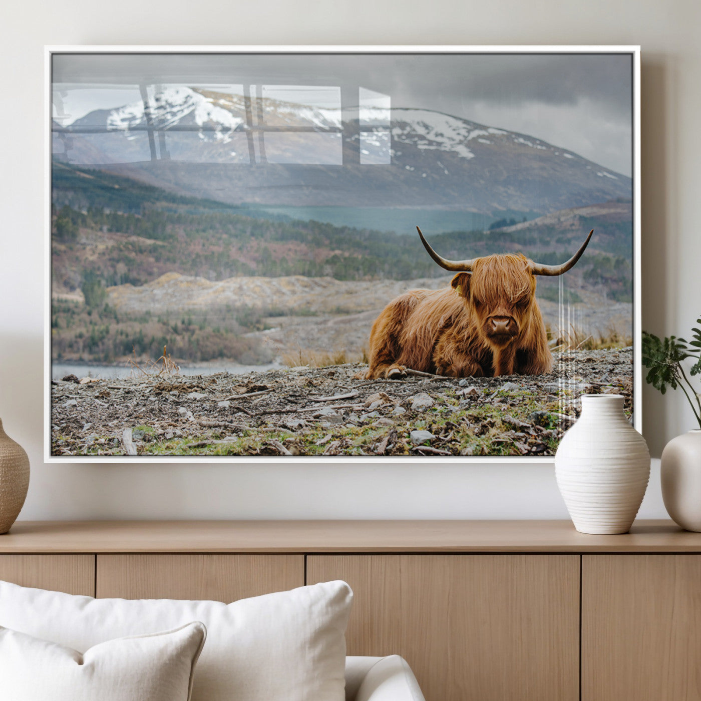 80252-MGV-FP-36X24-3P_White-Highland Cow Horn Farm Wall Art Canvas Print