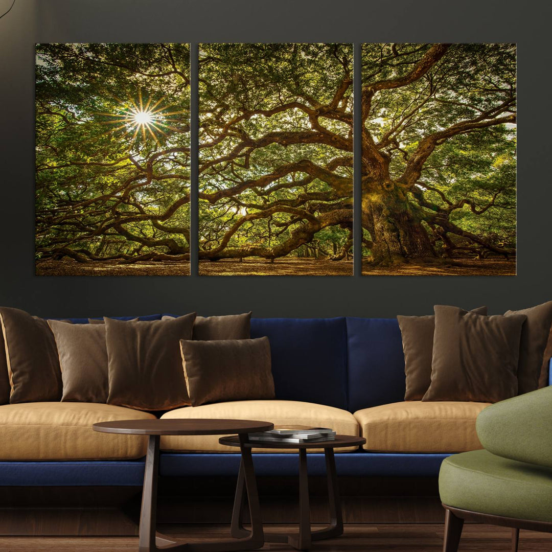 Ancient Angel Oak Tree Sunburst Wall Art - Nature-Inspired Triptych Canvas Print, Framed, Ready to Hang