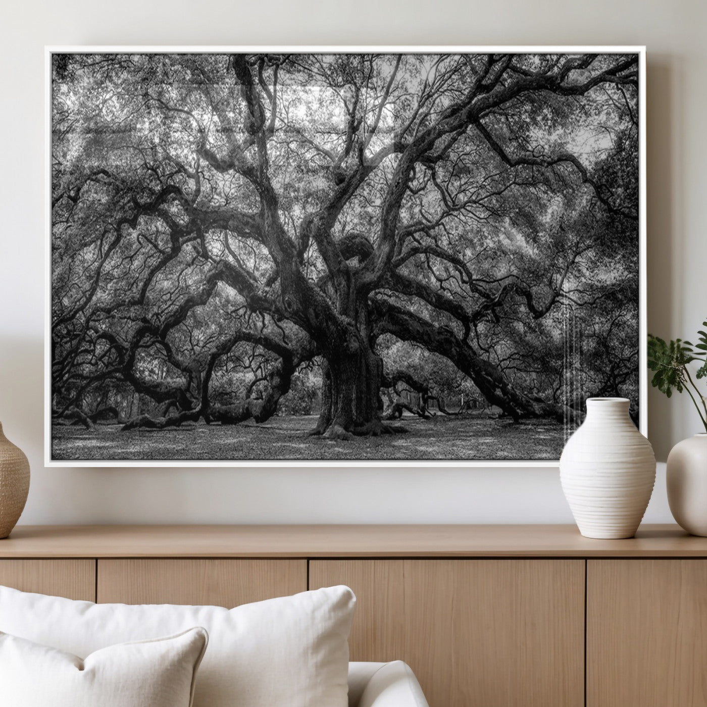 MGV-FP-60X30-3P - Black and White Old Angel Oak Tree Wall Art Canvas Print