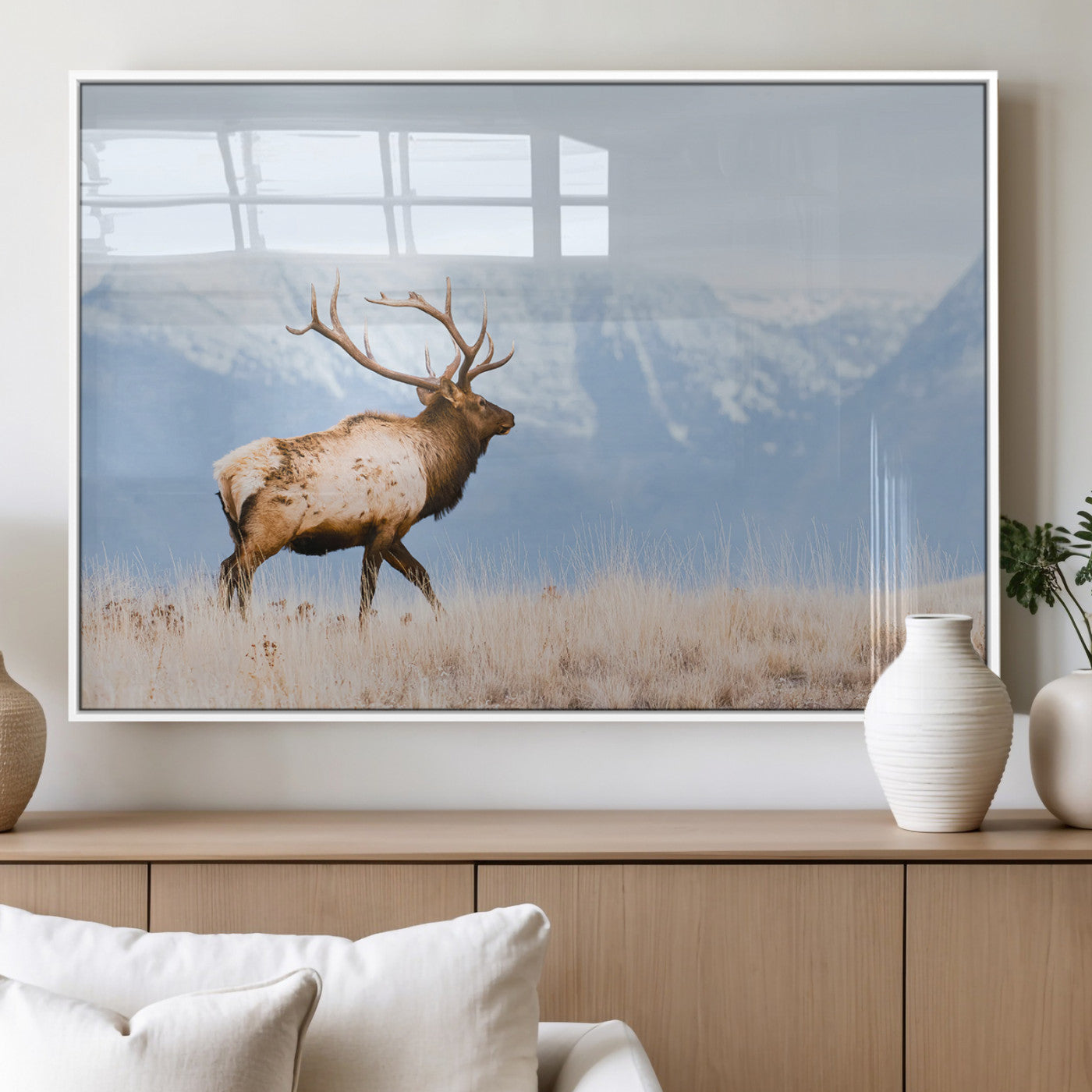An elk walking on snowy grassland with majestic mountains in the background, ideal for rustic lodge or cabin wall decor.