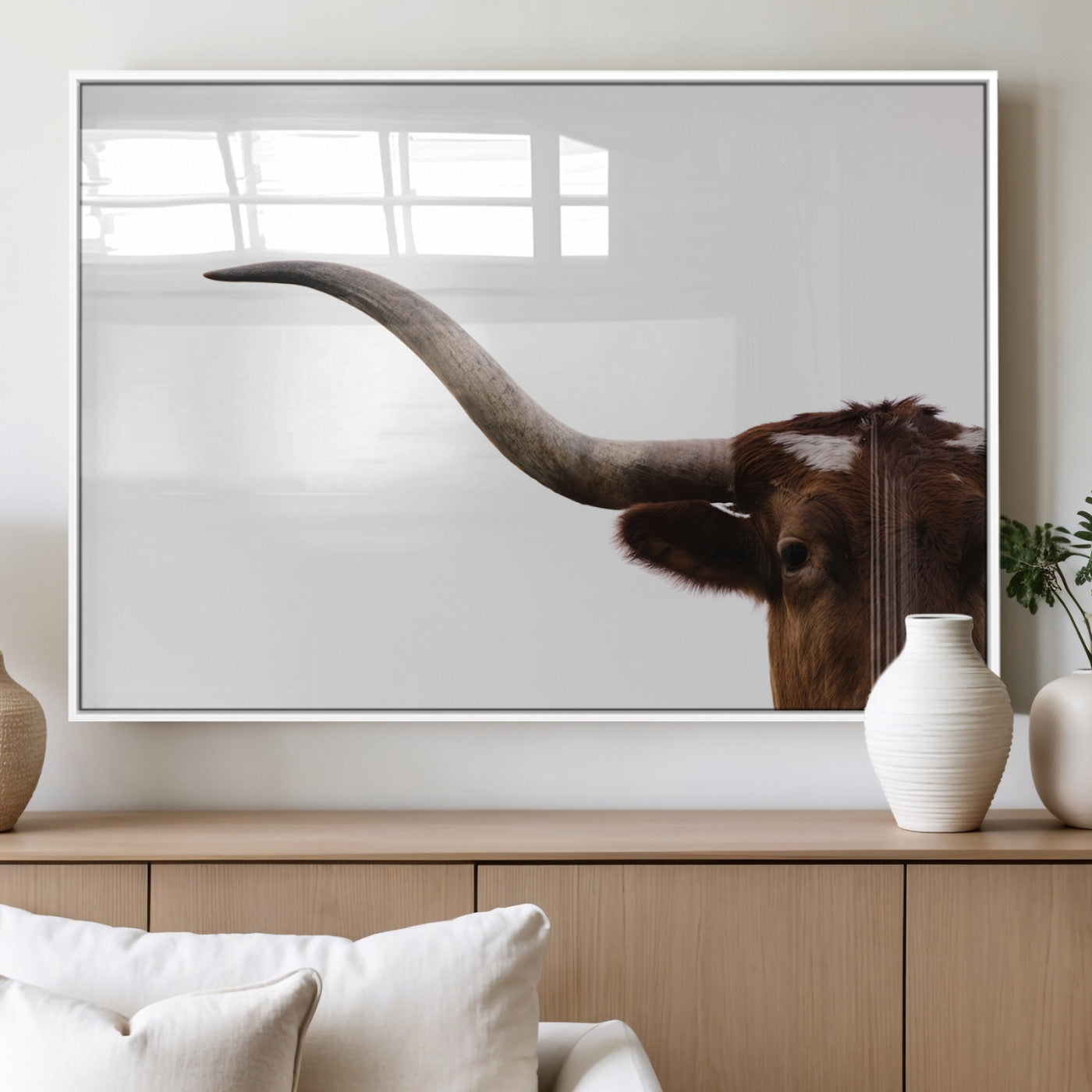 Close-up of Texas Longhorn horn and eye on white background, perfect for minimalist or modern farmhouse style wall decor.