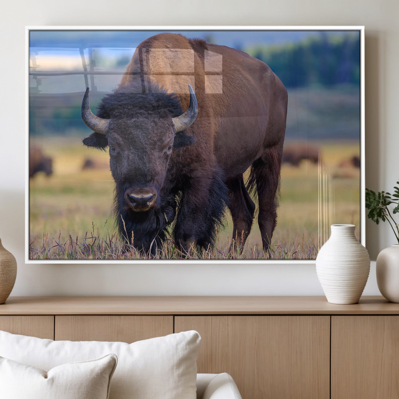 Close-up of a strong American bison standing in a grassy prairie with a blurred herd in background, perfect for rustic lodge decor.