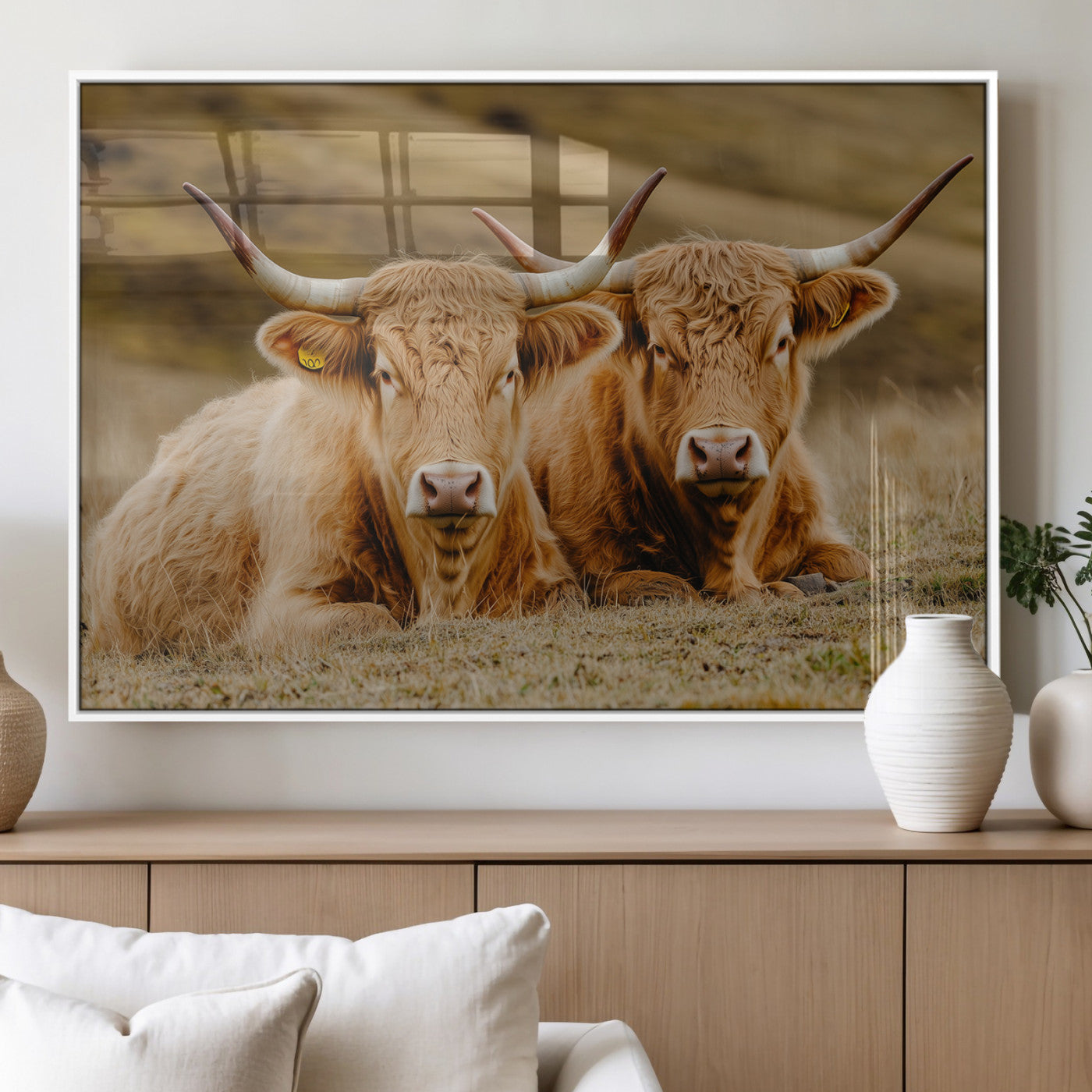 Two Highland cows resting on a golden field with soft focus hills, ideal for rustic farmhouse or cozy cabin style decor.