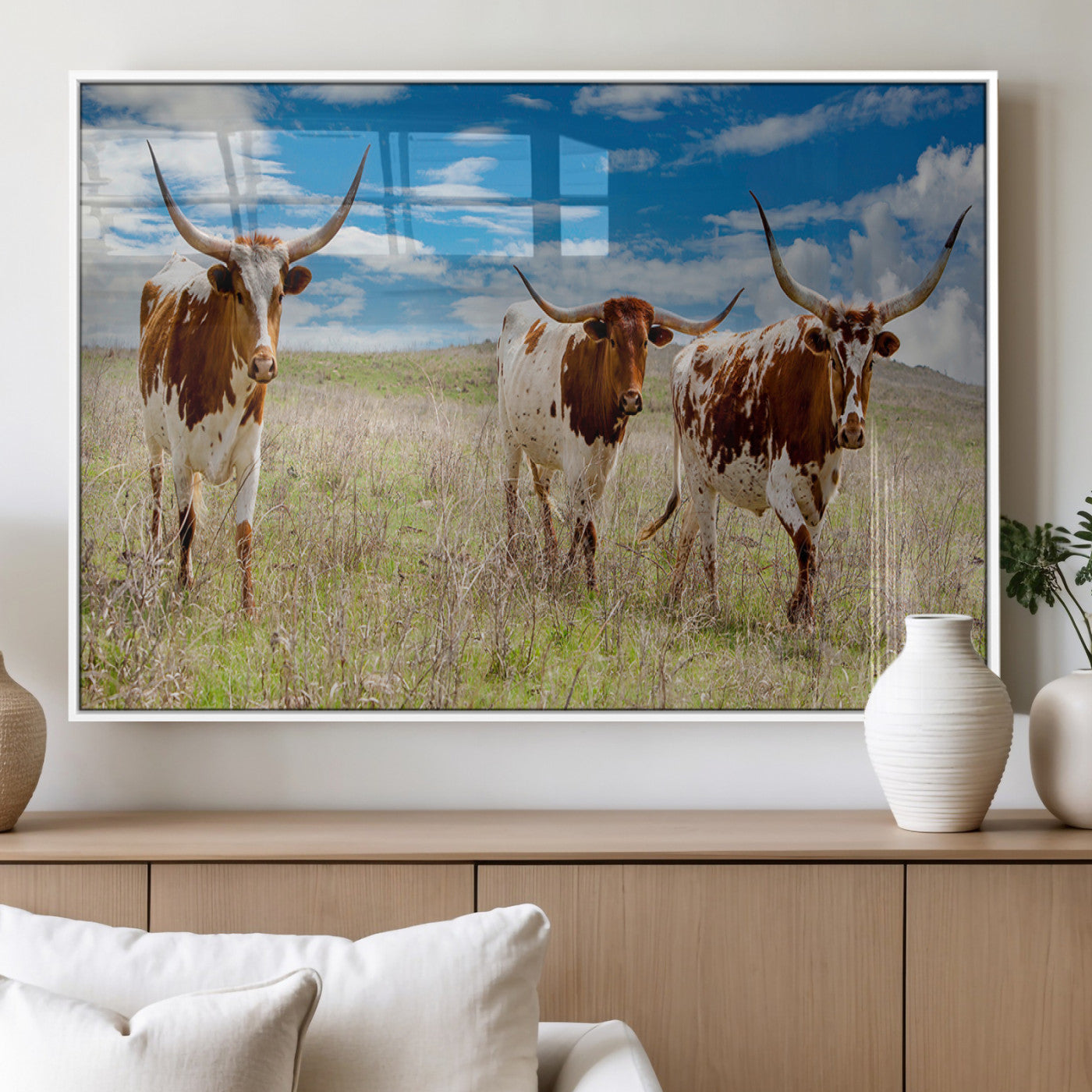 Three Texas longhorn cattle standing in dry grass under a bright blue sky, ideal for farmhouse or western rustic home decor.