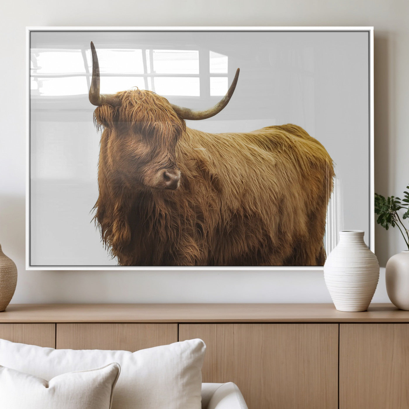 A highland cow with long horns and shaggy fur standing calmly, isolated on white background, ideal for rustic or farmhouse wall decor.