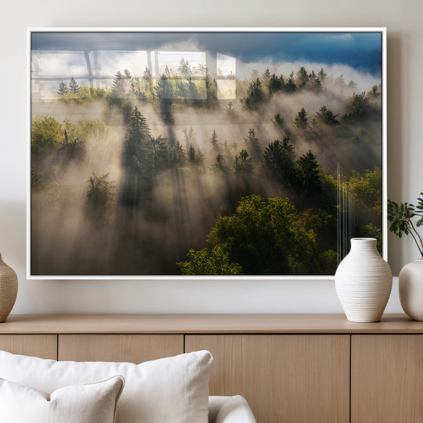 Sunlight streaming through misty pine trees in a lush green forest, creating a serene and atmospheric landscape, perfect for nature-inspired decor.