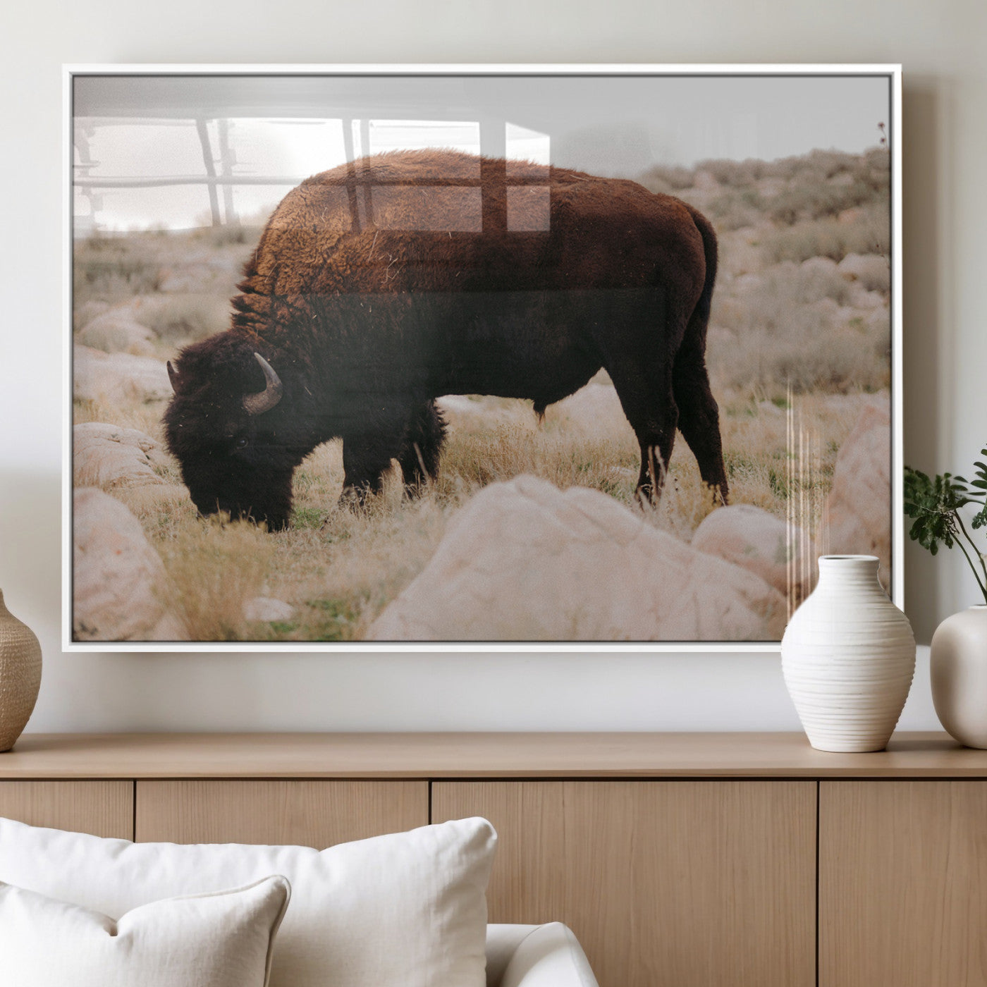 A solitary bison grazing in a rugged prairie with earthy tones and scattered rocks, capturing the essence of the American West for rustic decor.