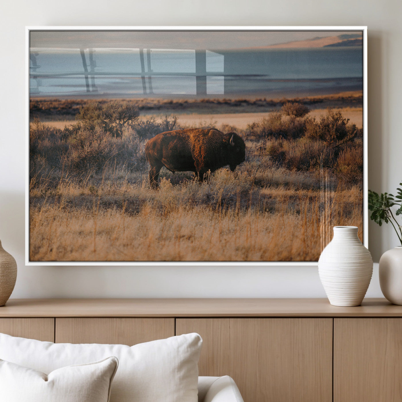 A lone bison grazing in golden prairie grass at sunset, with warm earthy tones and a distant lake view, perfect for rustic and western decor.